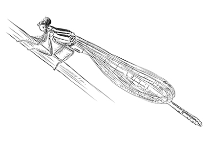 Damselfly illustration Damselfly illustration