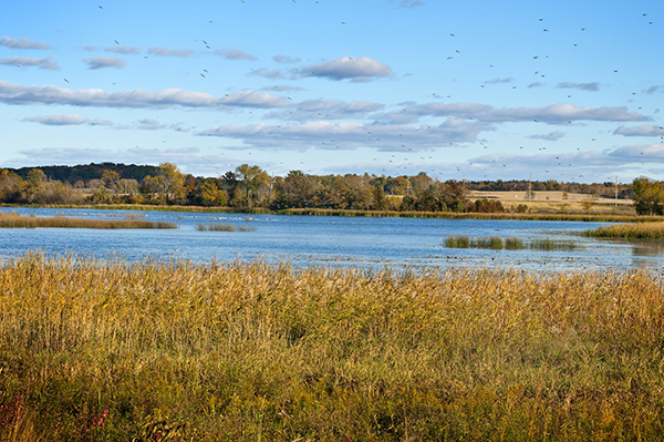 Prairie in Wisconsin