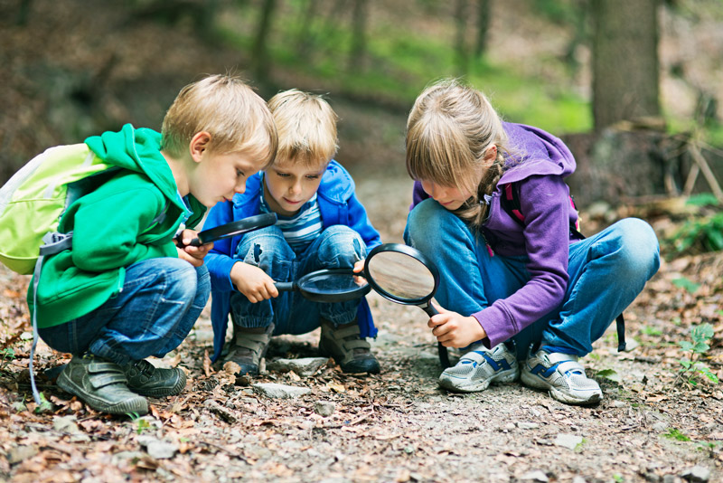 Kids with magnifying glasses in the woods