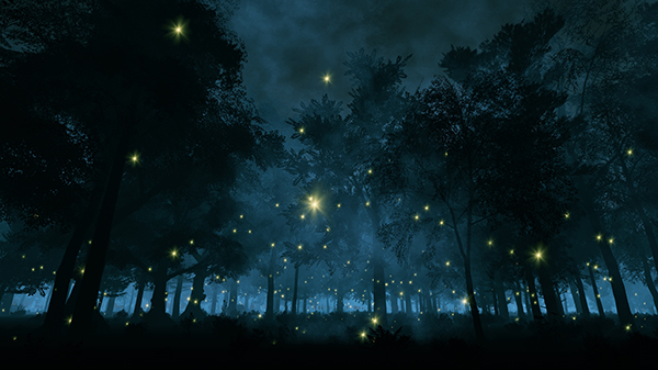 Fireflies at night