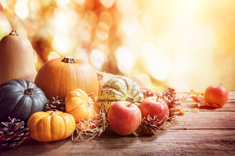 Gourds and Pumpkins