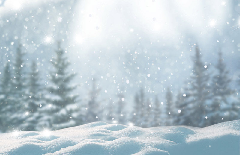 Winter Scene with Snow