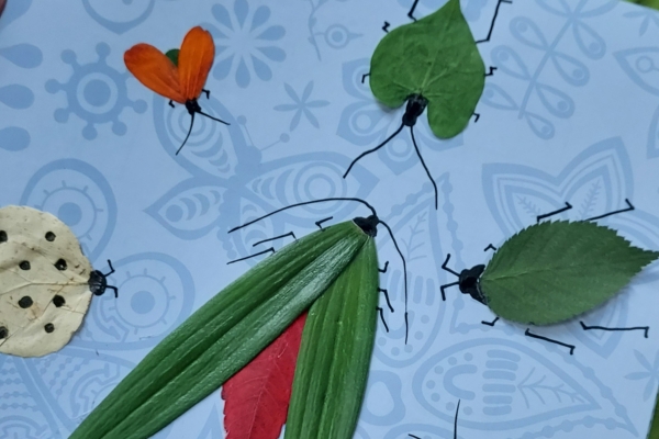 photo of insects made with colorful fall leaves and flower petals by Beth Mittermaier