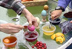 Dying eggs Dying eggs