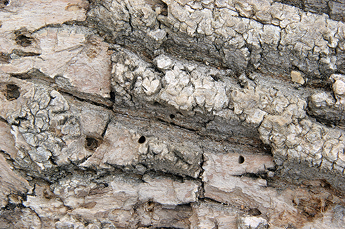 D-shaped hole from EAB