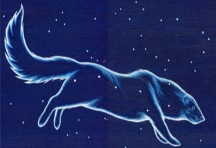 This illustration shows the outline of a Fisher superimposed over the stars of the Big Dipper