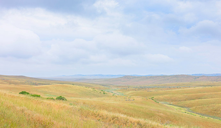 Prairie hotsell