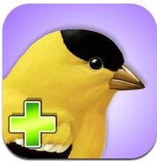 App icon with bird App icon with bird
