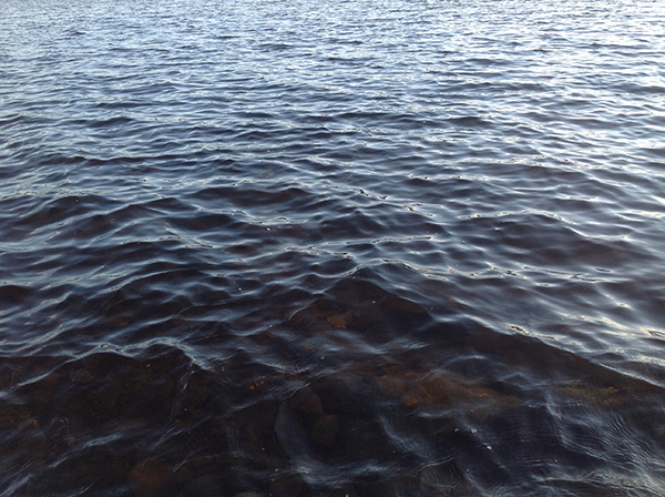 Indigo blue wind ruffled waves of Lake Huron