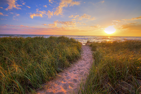 Tall Grass at sunset