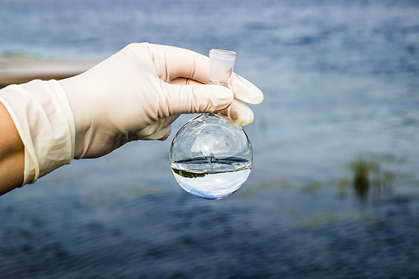 Water Quality Test