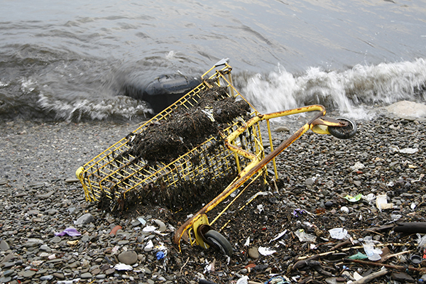 Grocery cart pollution