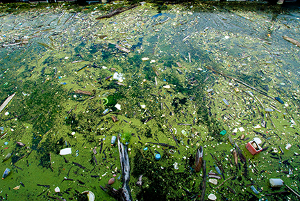 Water pollution in Lake Erie Water pollution in Lake Erie