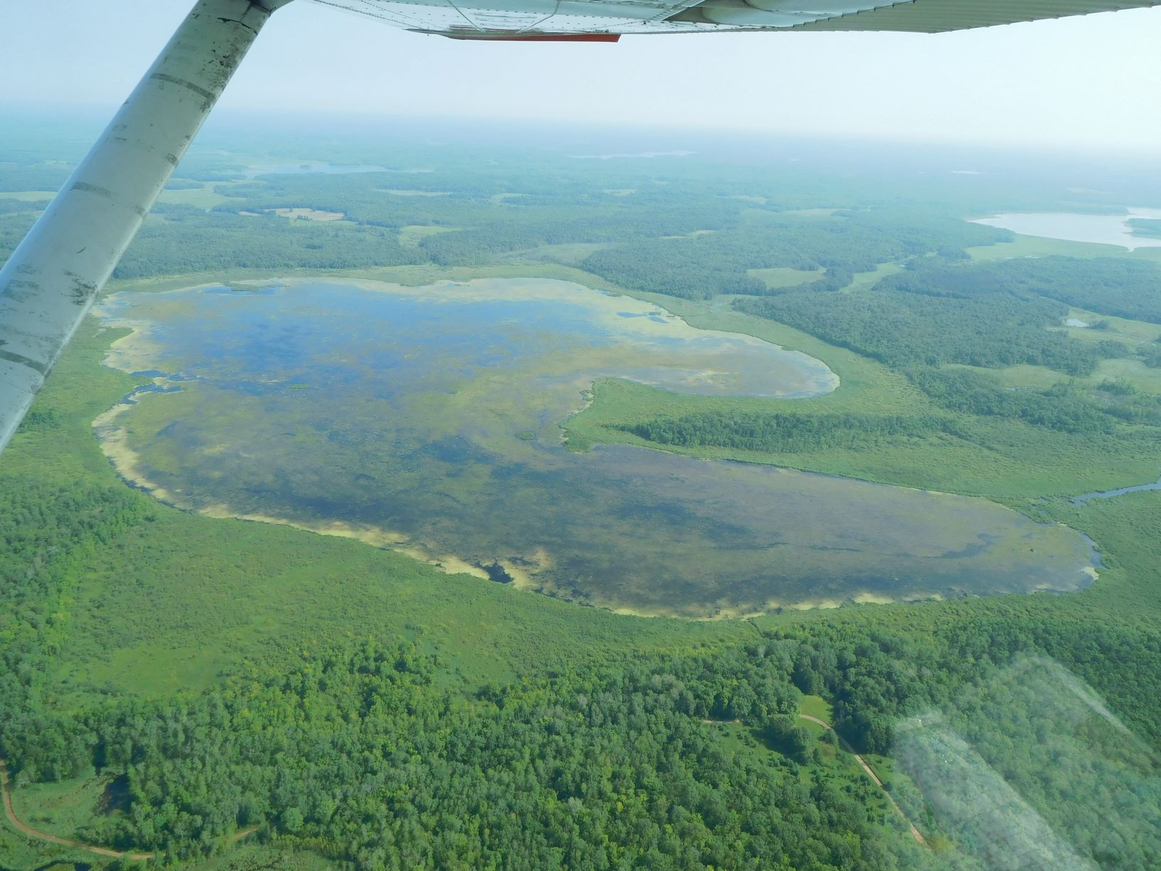 Aerial view of rice waters in northern Minnesota, Great Lakes Indian Fish & Wildlife Commission Aerial view of rice waters in northern Minnesota, Great Lakes Indian Fish & Wildlife Commission