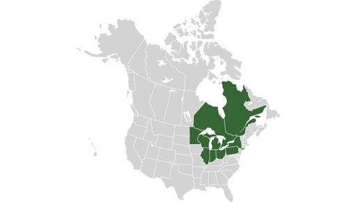 map by MarginalCost (CC BY-SA 4.0) map showing all the states and provinces that lie in the Great Lakes Basin