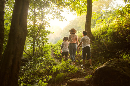 Hiking in the Woods