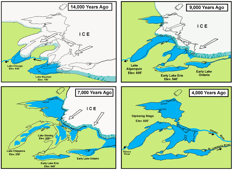 Lake Erie ice melted Fossil ID The Fossil Forum