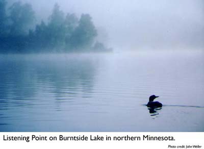 Listening Point on Burntside Lake in northern Minnesota. Photo credit: John Weller Listening Point on Burntside Lake in northern Minnesota. Photo credit: John Weller