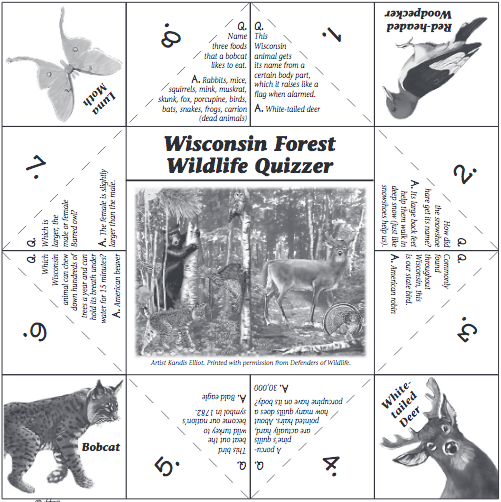 Screenshot of Wildlife Quizzer