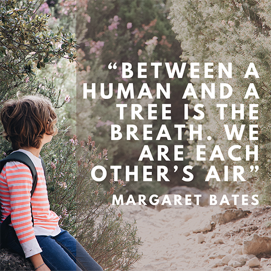 child sitting by tree with quote on photo about shared breathing