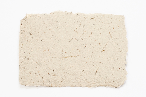 10 Intriguing Facts About Papermaking 