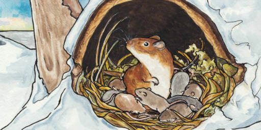 illustration from the book showing a mother mouse and her family in a nest
