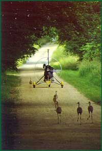 Young cranes following an ultralight as they learn to migrate. Young cranes following an ultralight as they learn to migrate.