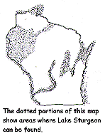 Map of Wisconsin where Lake Sturgeon can be found Map of Wisconsin where Lake Sturgeon can be found